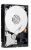 Get Western Digital WD5000AADS - Caviar 500 GB Hard Drive PDF manuals and user guides