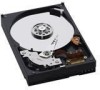 Get Western Digital WD5000AVJB - AV 500 GB Hard Drive PDF manuals and user guides