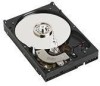 Get Western Digital WD5000YS - RE2 500 GB Hard Drive PDF manuals and user guides
