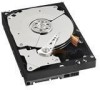 Get Western Digital WD7502ABYS - RE3 750 GB Hard Drive PDF manuals and user guides