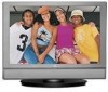 Get Westinghouse LTV-19W3 - 19inch LCD TV PDF manuals and user guides