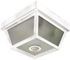 Get Zenith SL-4305-WH - Heath - Motion-Activated Five-Sided Porch Light PDF manuals and user guides