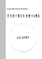 Polaroid FLM 3701 Service Manual