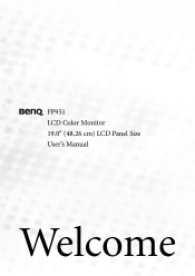 BenQ FP951 User Manual