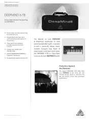 Behringer DEEPMIND 6-TB Product Information Document