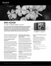 Sony DSC-S2100/B Marketing Specifications