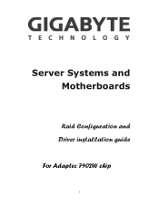 Gigabyte GA-9ITDW Raid Configuration Guide