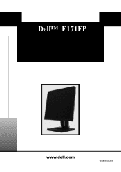 Dell E171FP Setup Guide