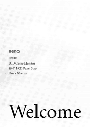 BenQ FP91R User Manual