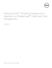 Dell DR4100 Bridgehead HDM - Setting Up the Dell DR Series System on Bridgehead Healthcare Data Management (HDM)