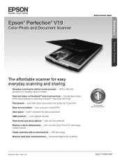 Epson Perfection V19 Product Specifications