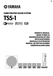 Yamaha TSS1B Owners Manual