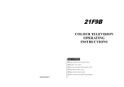 Haier 21F9B-S User Manual
