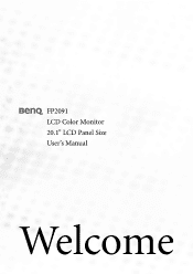 BenQ FP2091 User Manual