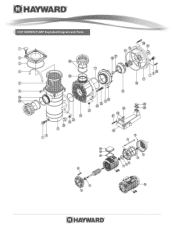 Hayward HCP Pump Parts Diagram