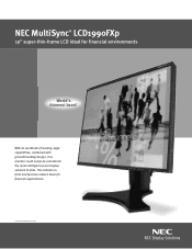 NEC LCD1990FXP-BK MultiSync LCD 1990Fxp Color Brochure