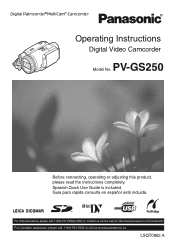 Panasonic PV-GS250 Digital Video Camera