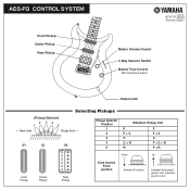 Yamaha AES-FG Owner's Manual