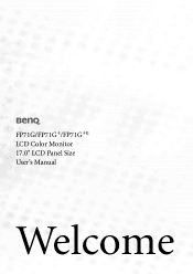 BenQ FP71G User Manual