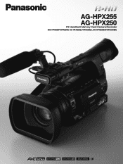 Panasonic P2 Handheld Camcorder Brochure