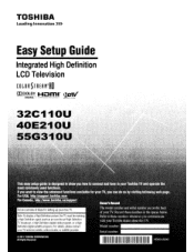 Toshiba 55G310U Setup Guide