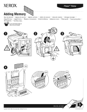 Xerox 8560MFPD Instructions for Printer Options