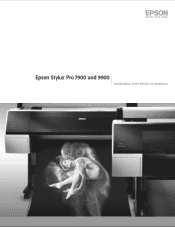 Epson Stylus Pro 7900 Proofing Edition Product Brochure