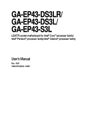 Gigabyte GA-EP43-DS3LR Manual