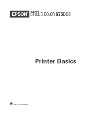 Epson 875DCS Printer Basics