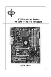 MSI 975X Platinum V User Guide
