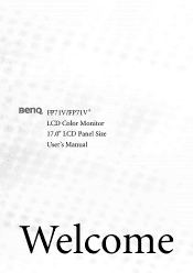 BenQ FP71V User Manual