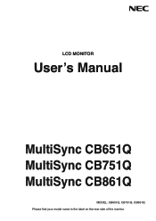 NEC CB861Q User Manual English