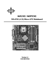MSI 865GM2-LS User Guide