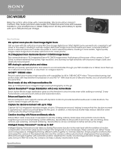 Sony DSC-WX300 Marketing Specifications (Red model)