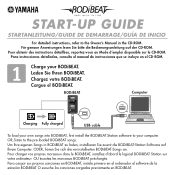 Yamaha BF-1 Startup Guide