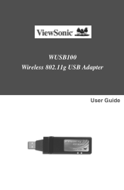 ViewSonic WUSB100 User Guide