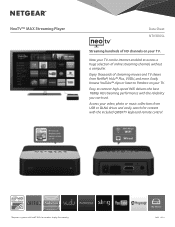 Netgear NTV300SL Product Data Sheet