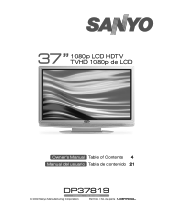 Sanyo DP37819 Owners manual