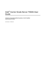 Intel TIGI2U User Guide