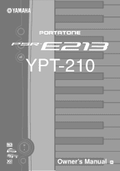 Yamaha YPT210 Owner's Manual