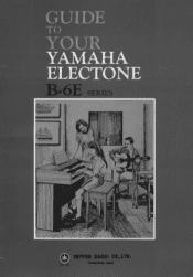 Yamaha B-6E Owner's Manual (image)