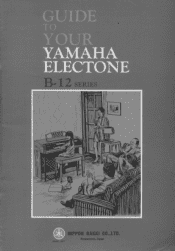 Yamaha B-12 Owner's Manual (image)