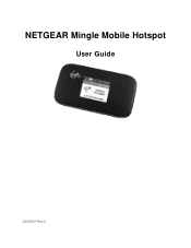 Netgear 778S User Guide