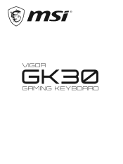 MSI VIGOR GK30 COMBO WHITE User Manual