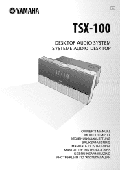 Yamaha TSX-100 Owner's Manual