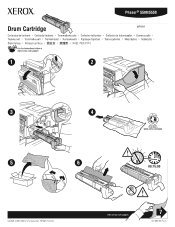 Xerox 5550N Instruction Sheet - Drum Cartridge