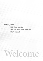 BenQ FP991 User Manual