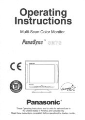 Panasonic S-M Monitor