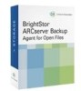 Get Computer Associates BABWUR1150S09 - CA Brightstor Arcserve Backup r11.5 Agent PDF manuals and user guides