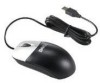Get Dell 310-8007 - USB Optical Mouse PDF manuals and user guides